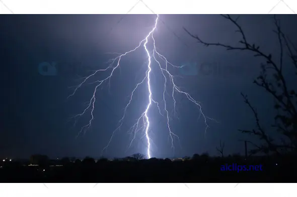 Branched Lightning Strike at Night