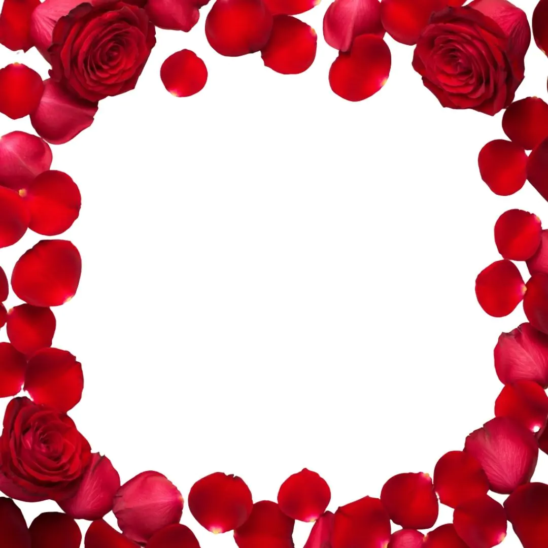 Romantic Red Rose Petals Frame Border PNG