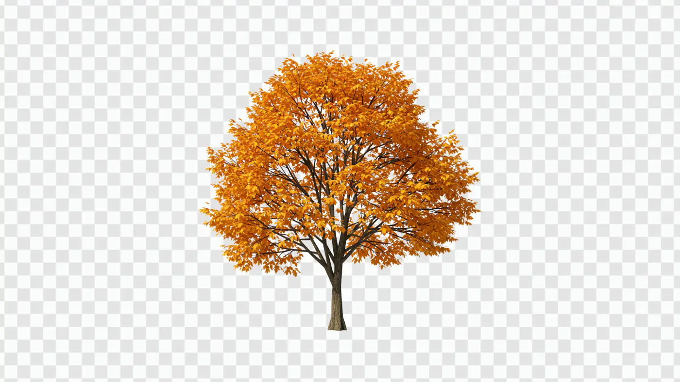 Majestic Autumn Tree with Golden Foliage PNG