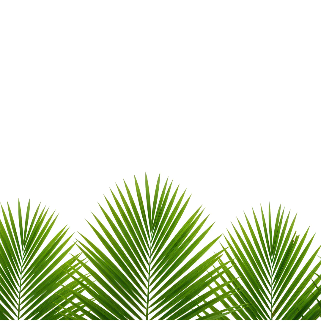 Tropical Palm Fronds Bottom Border PNG Clipart