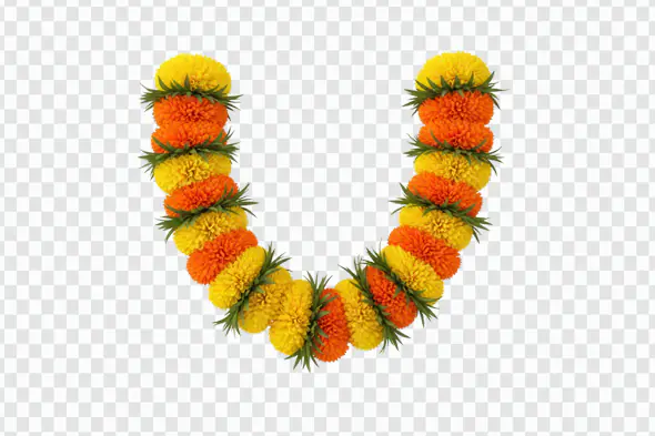 Vibrant Marigold Garland Indian Festival Decoration Illustration
