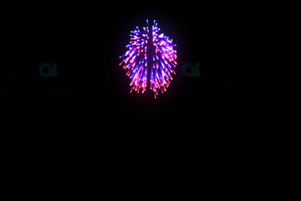Pink and Blue Fireworks Burst Against Black Sky