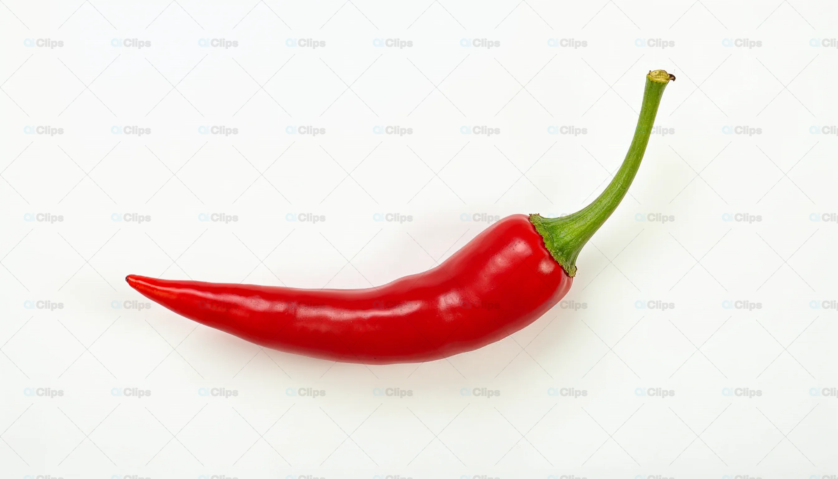 Red Chili Pepper on White Background