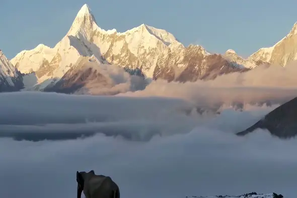 Majestic Himalayan Peak Emerges Above Misty Cloudscape
