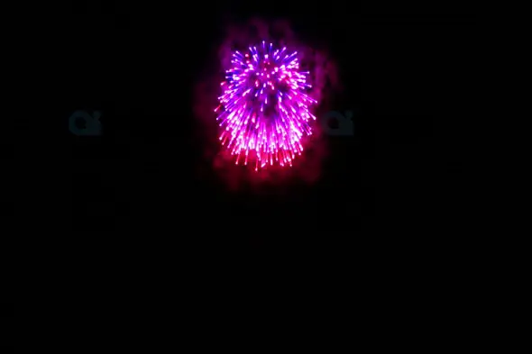 Bright Pink and Purple Fireworks Burst in Night Sky
