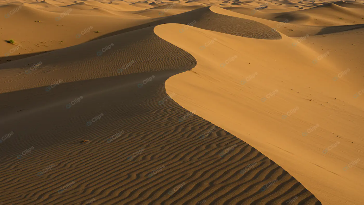 Golden Desert Dunes