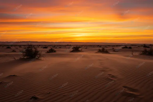 Radiant Desert Twilight