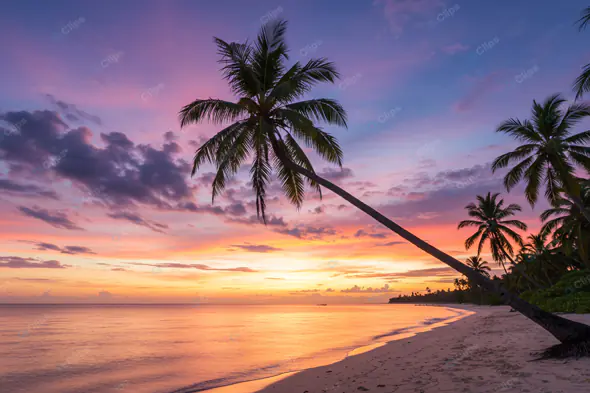 Tropical Paradise Sunset