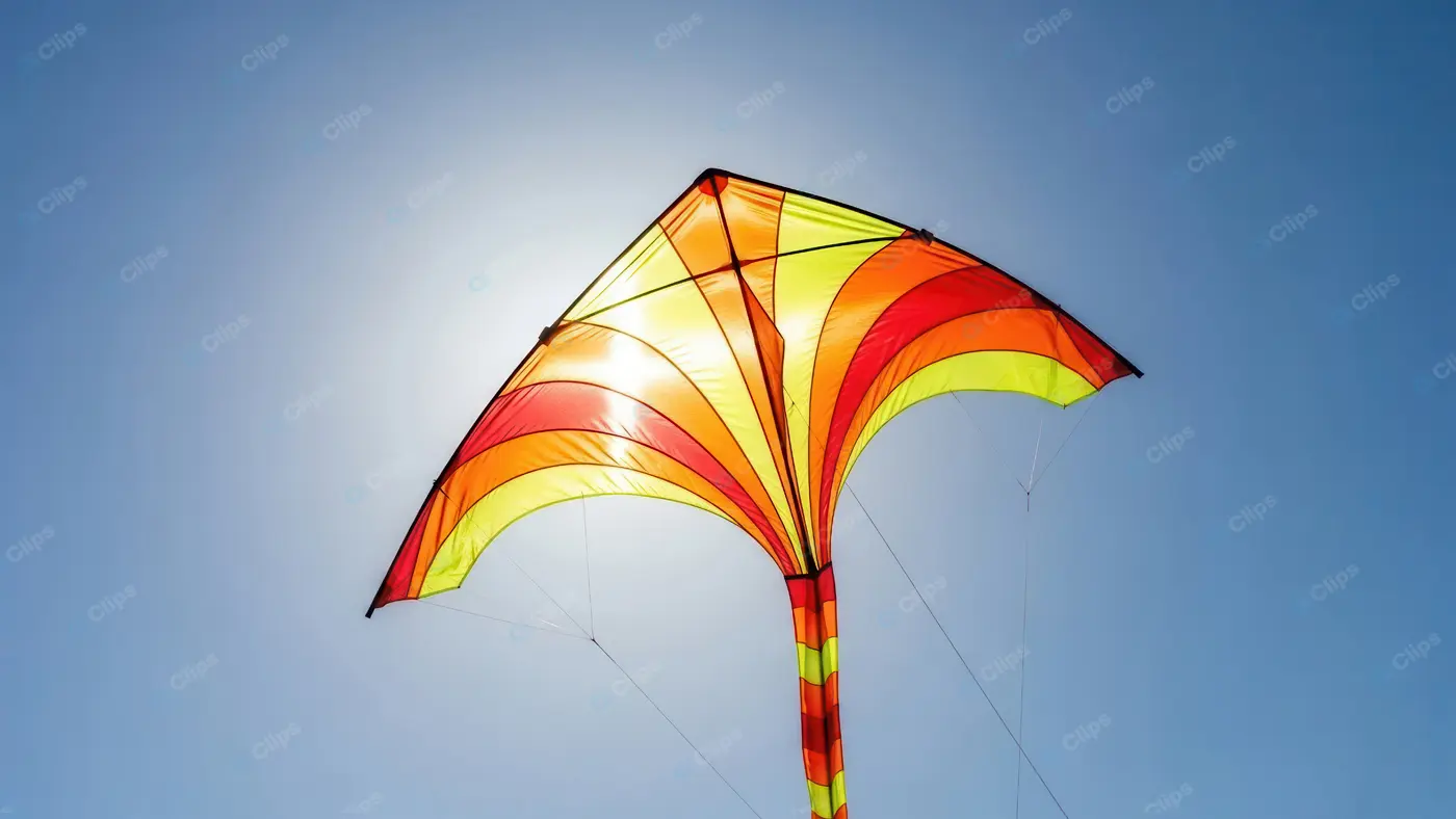 Sunlit Colorful Kite Soaring High