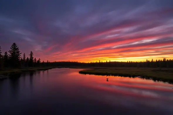 Vibrant Sunset Reflections on Tranquil Forest Lake
