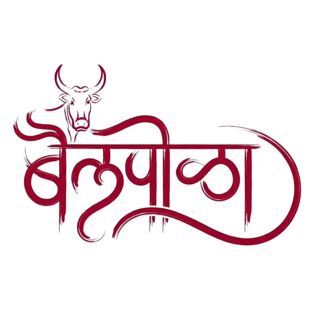 Bailpola Marathi Calligraphy Text with Bull Illustration Clipart PNG