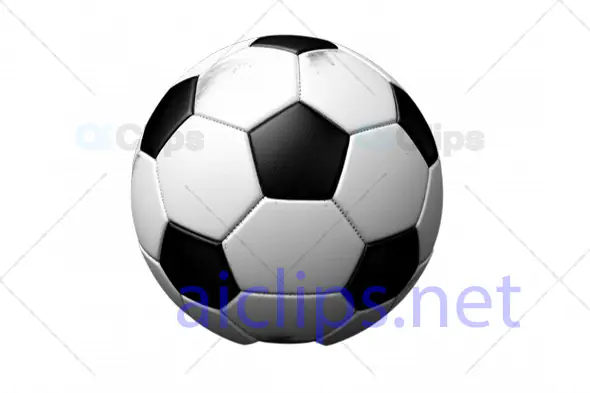 3D Black and White Soccer Ball with Authentic Texture