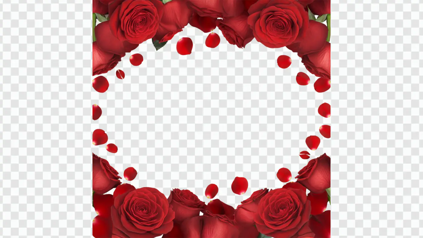 Lush Red Roses Circular Petal Frame PNG