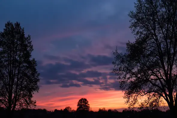 Twilight Silhouettes: Vibrant Sky Symphony
