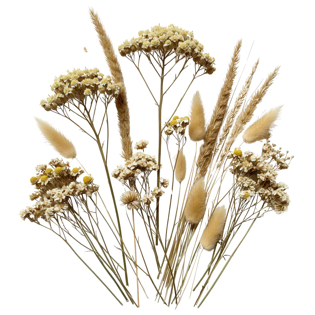 Elegant Dried Floral Arrangement PNG Clipart