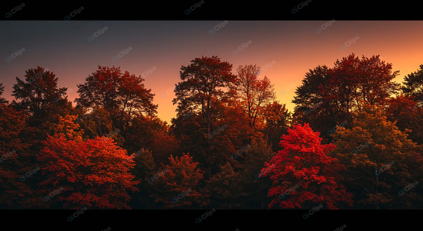 Fiery Autumn Twilight