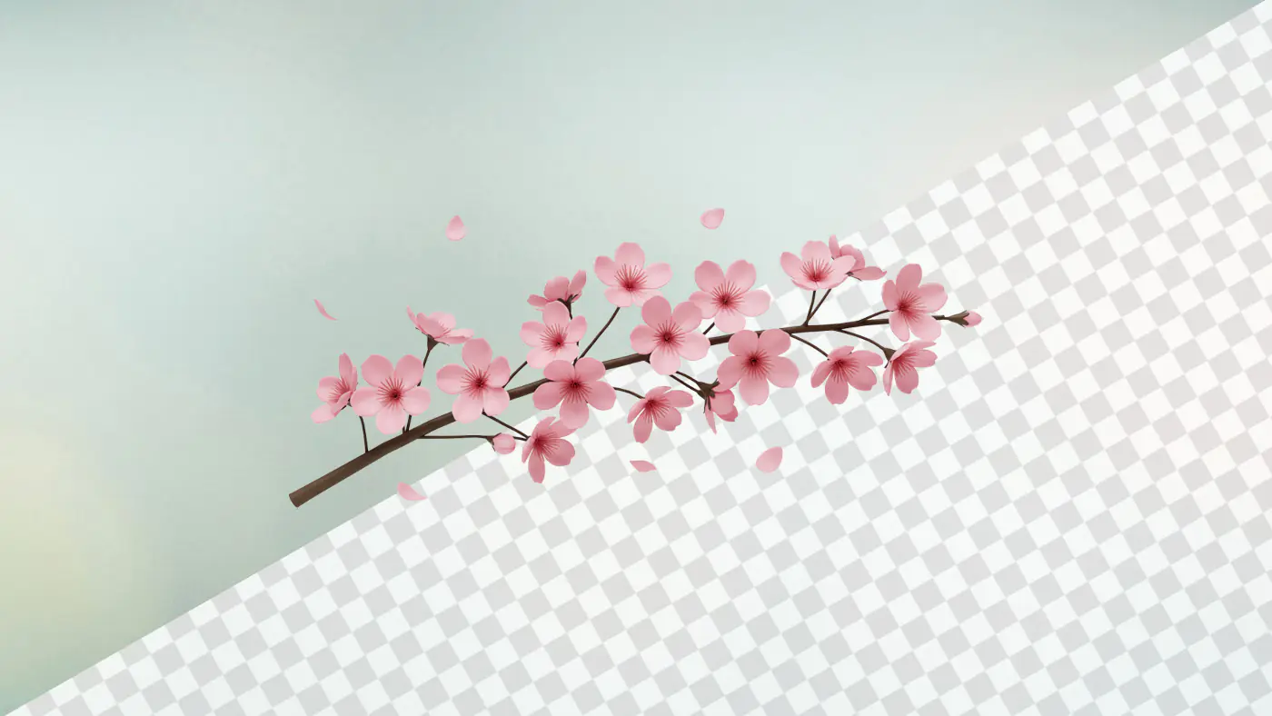 Blooming cherry blossom branch with delicate pink flowers