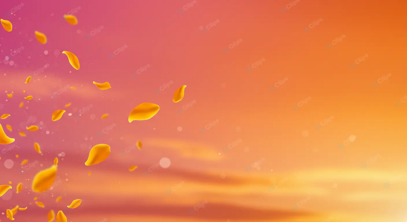 Sunset Petal Dance
