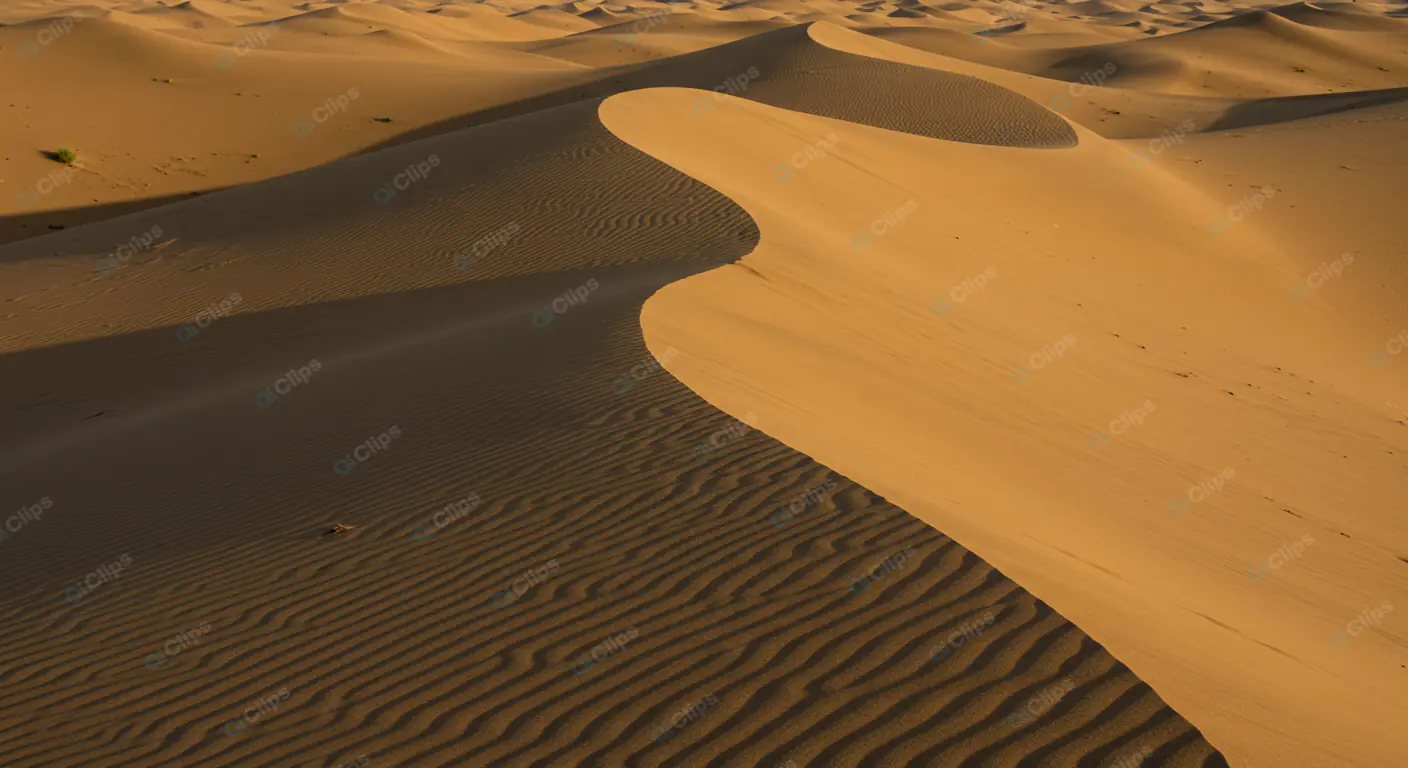 Golden Desert Dunes