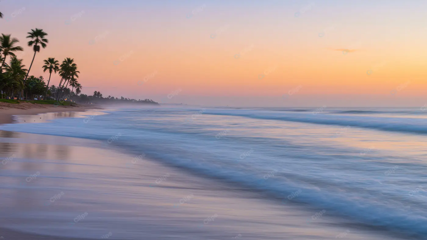 Tranquil Tropical Shoreline Dawn