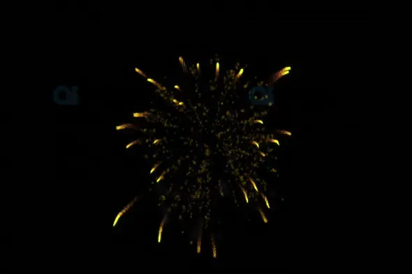 Golden Fireworks Explosion on Black Background