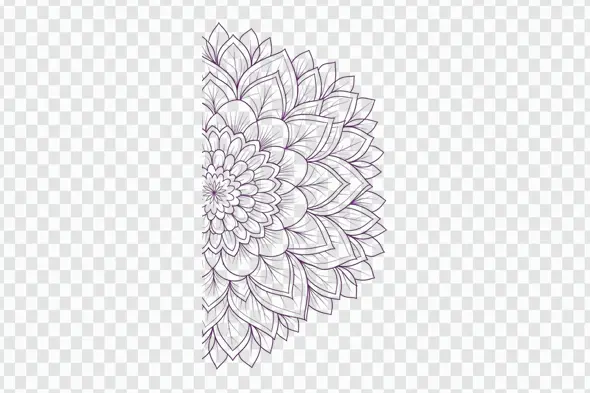 Elegant Purple Floral Line Art Mandala Clipart PNG