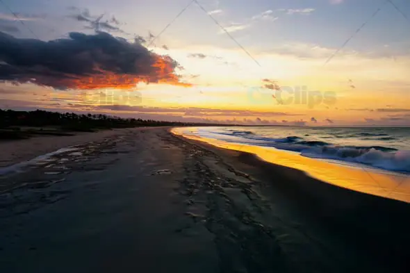 Aerial View of Serene Beach at Sunset