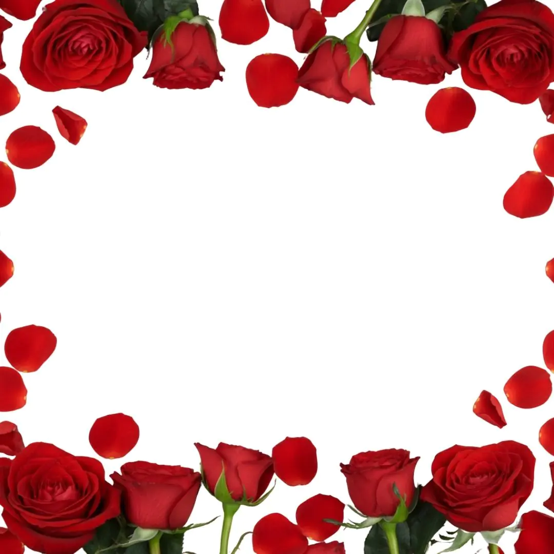 Vibrant Red Roses Petals Frame Border PNG