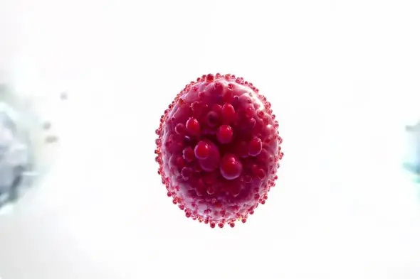 3D Crimson Molecular Sphere with Surface Protrusions
