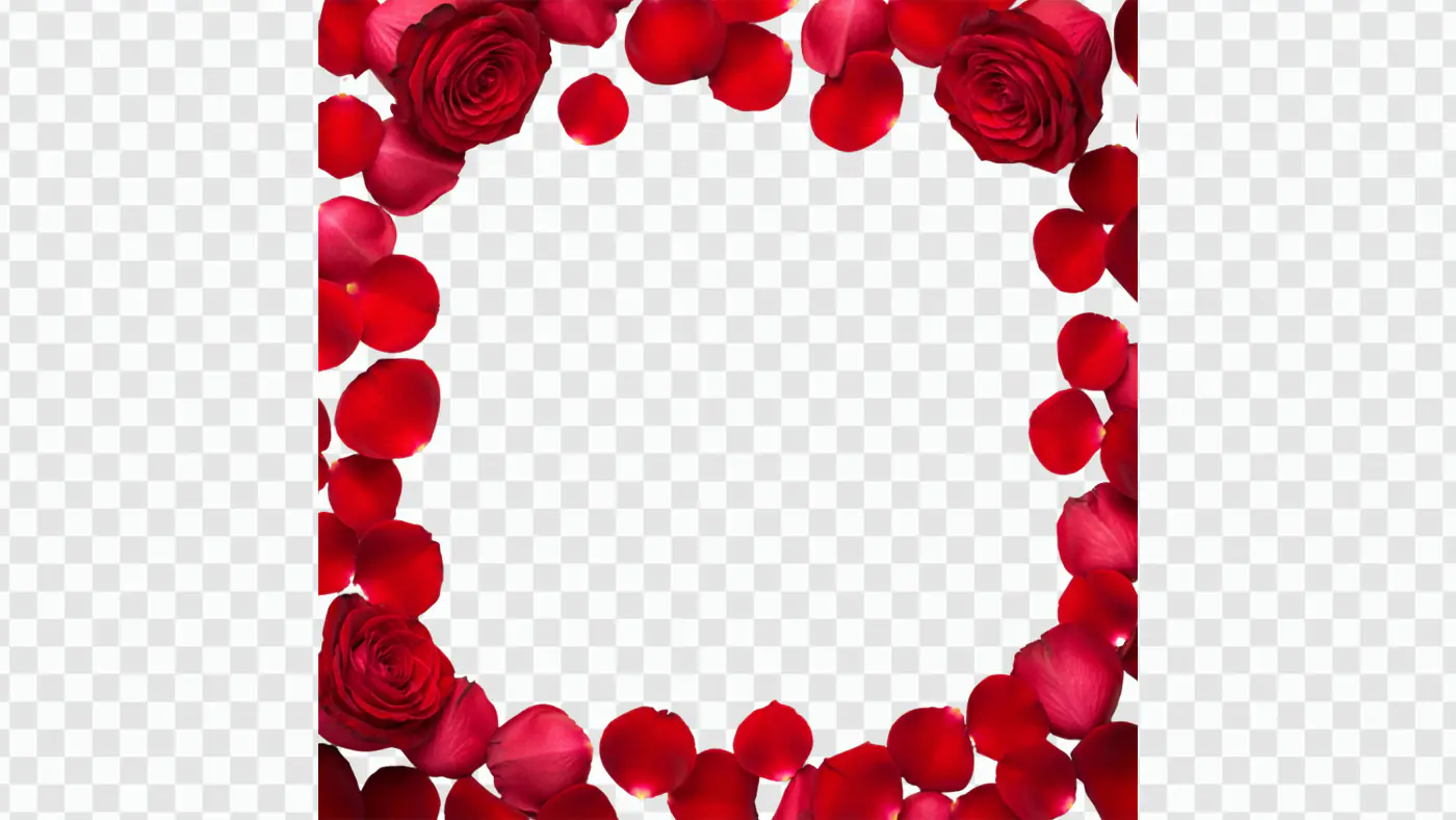 Romantic Red Rose Petals Frame Border PNG