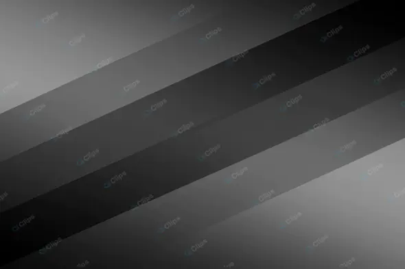 Sleek Grayscale Diagonal Stripes