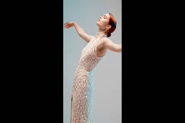 Elegant Lace Gown Fashion Video