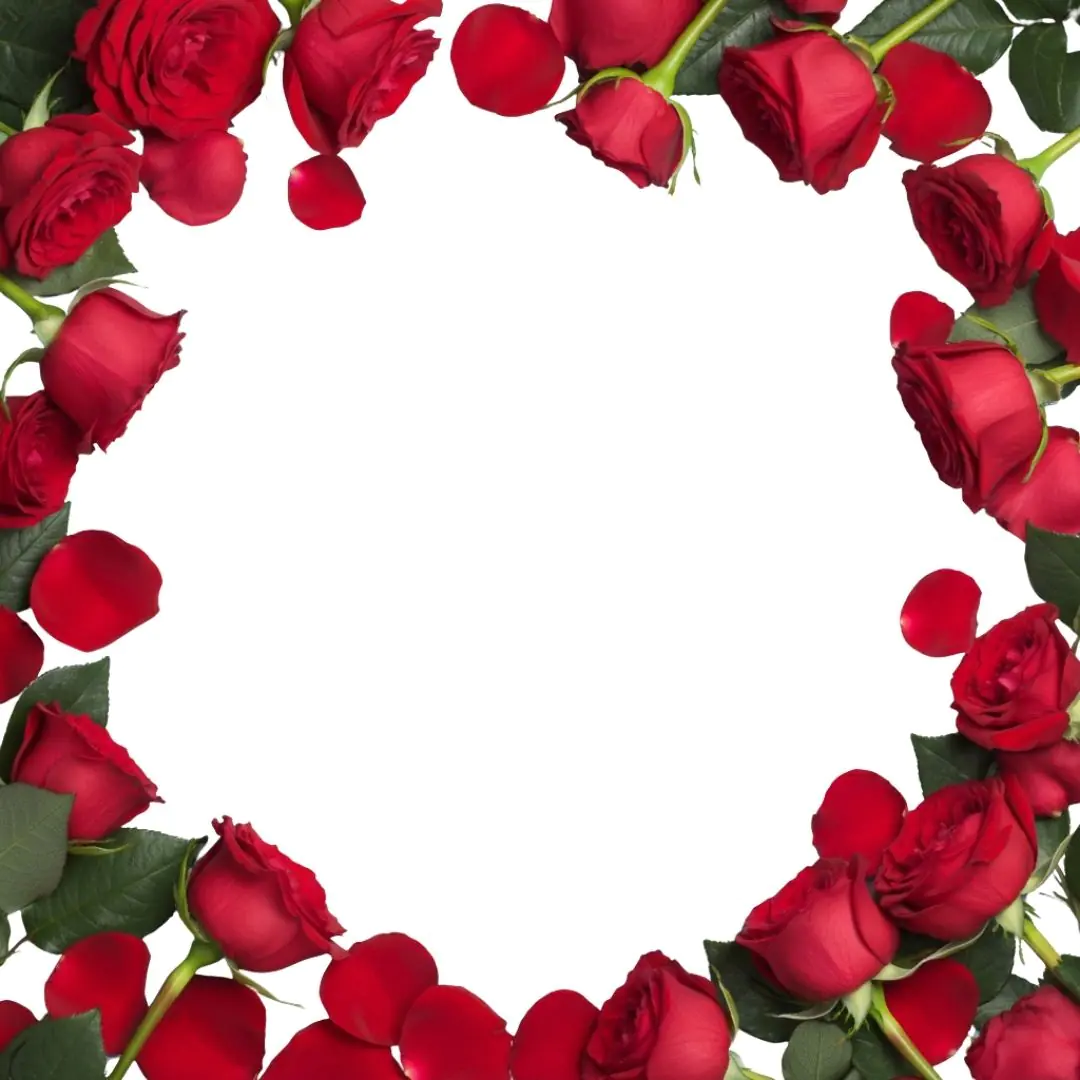 Scarlet Roses Oval Frame Valentine's Day PNG