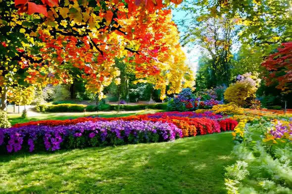 Vibrant Garden Landscape with Blooming Flowers and Autumn Foliage