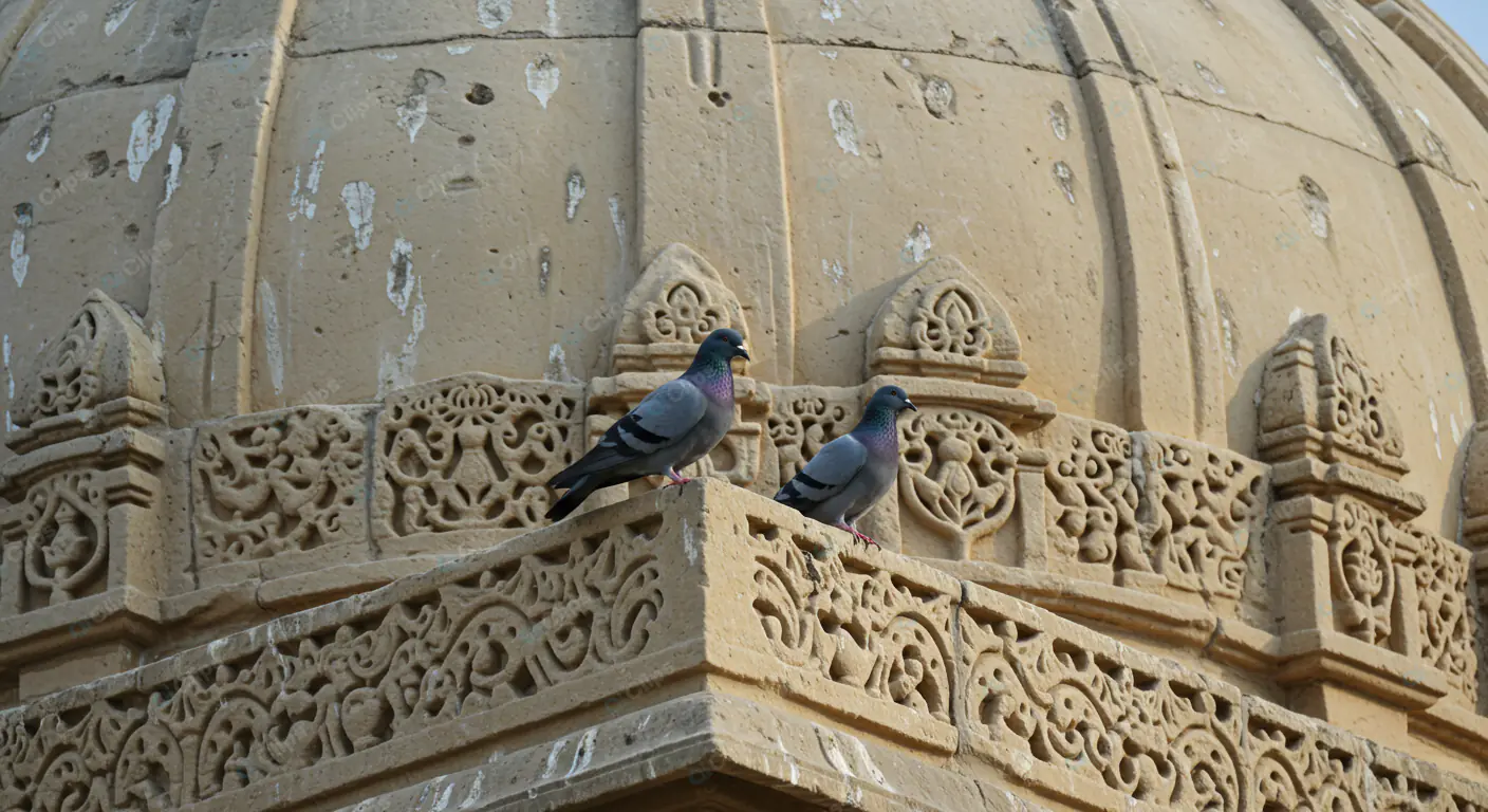 Pigeons on Ornate Stone Architecture