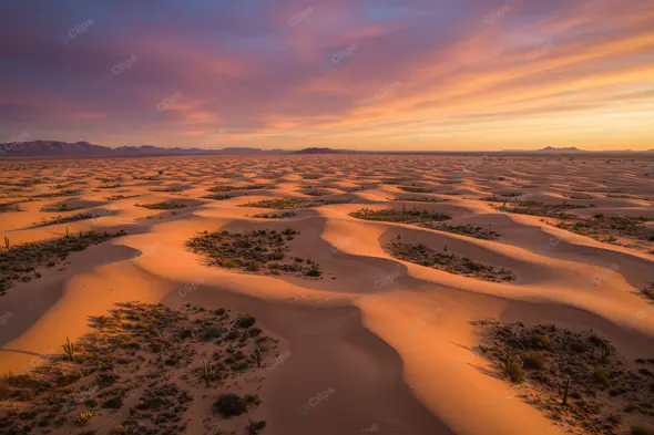 Golden Desert Dunes Sunset