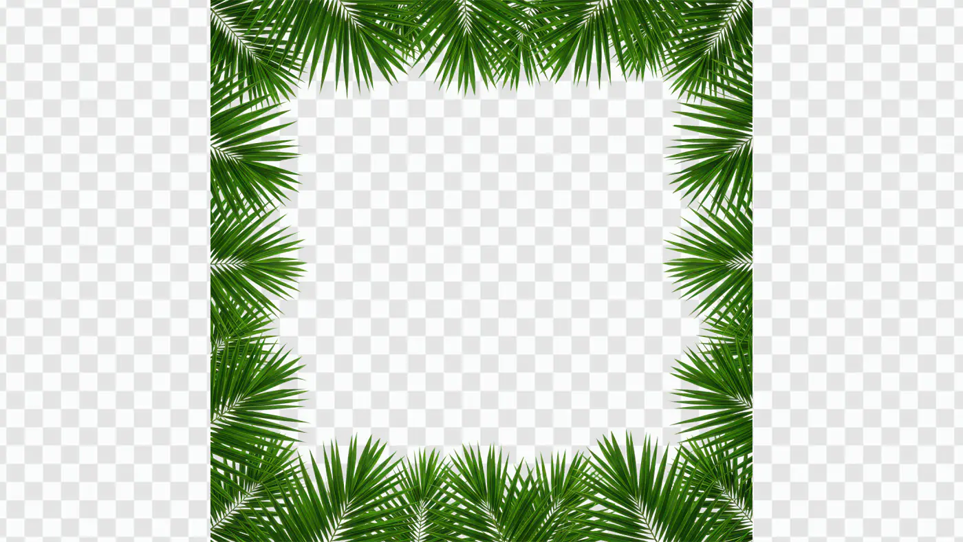 Tropical Palm Leaf Border Frame PNG Clipart