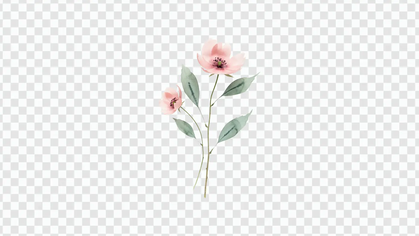Delicate Watercolor Pink Flowers Stem PNG Clipart