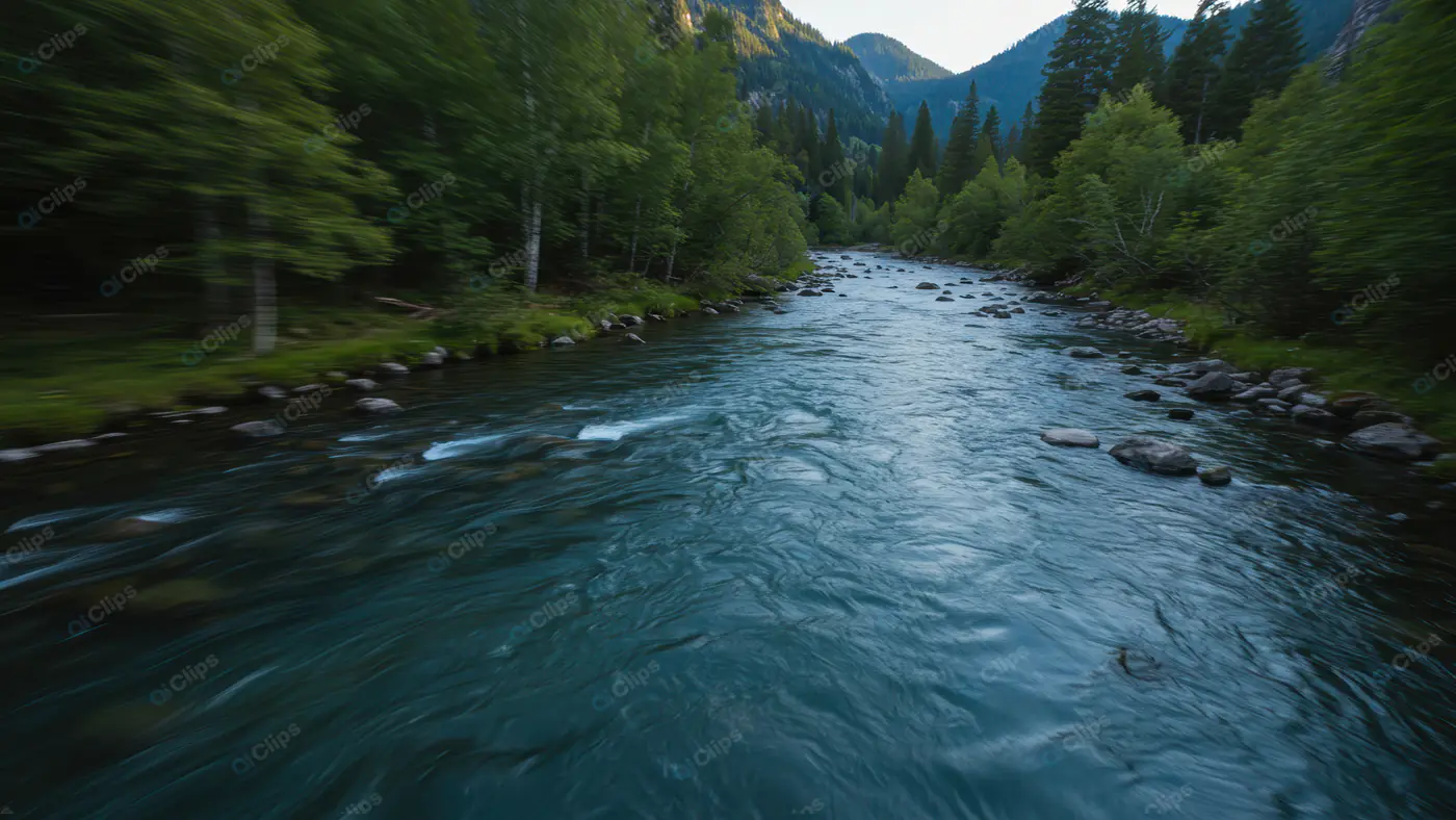 Rushing Mountain Stream