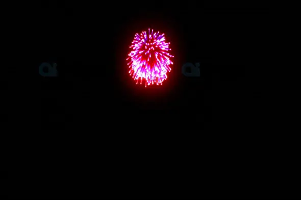 Single Red and Pink Fireworks Burst in Night Sky