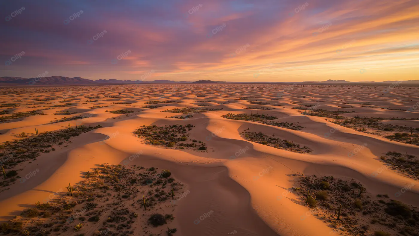 Golden Desert Dunes Sunset