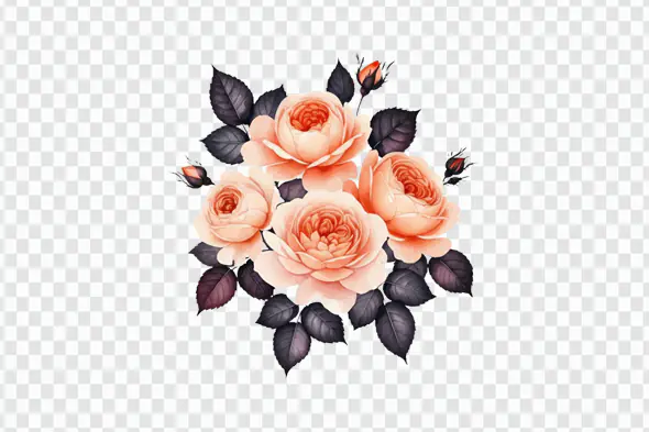 Peach Roses with Dark Leaves PNG Clipart