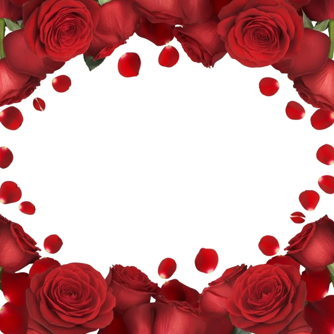 Lush Red Roses Circular Petal Frame PNG