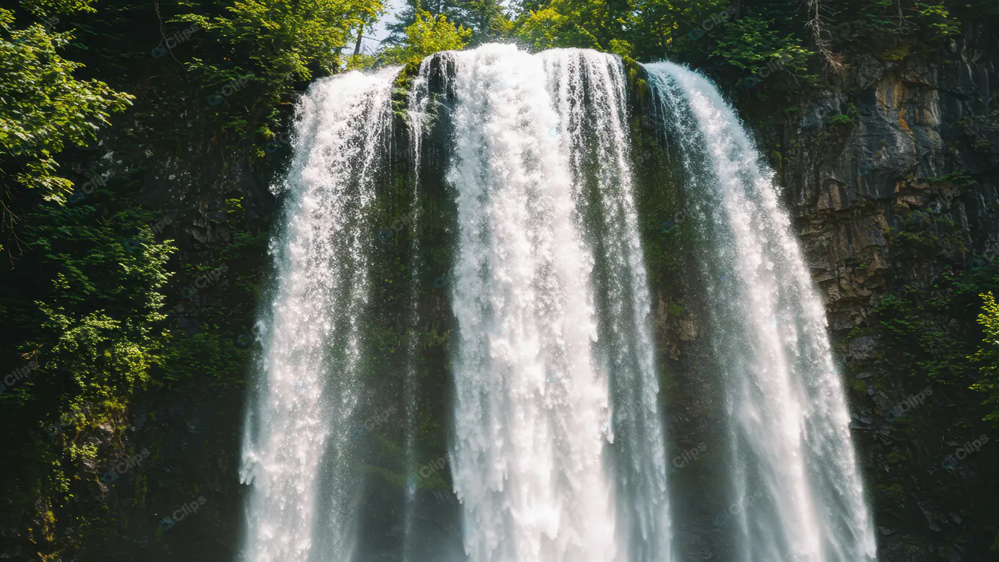 Lush Forest Waterfall Cascade