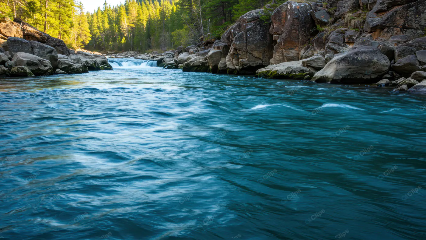 Turquoise River in Sunlit Forest