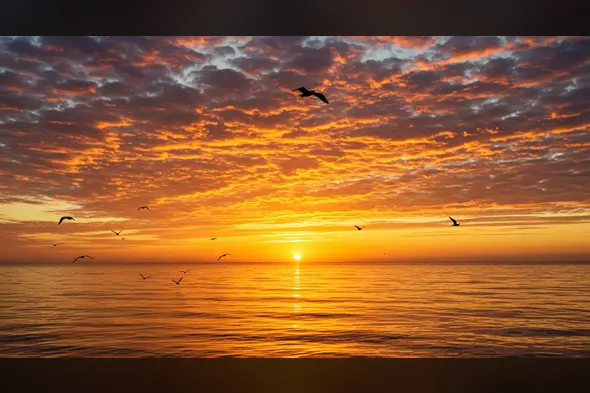 Soothing Ocean Sunrise with Birds – Peaceful Morning Sky Background