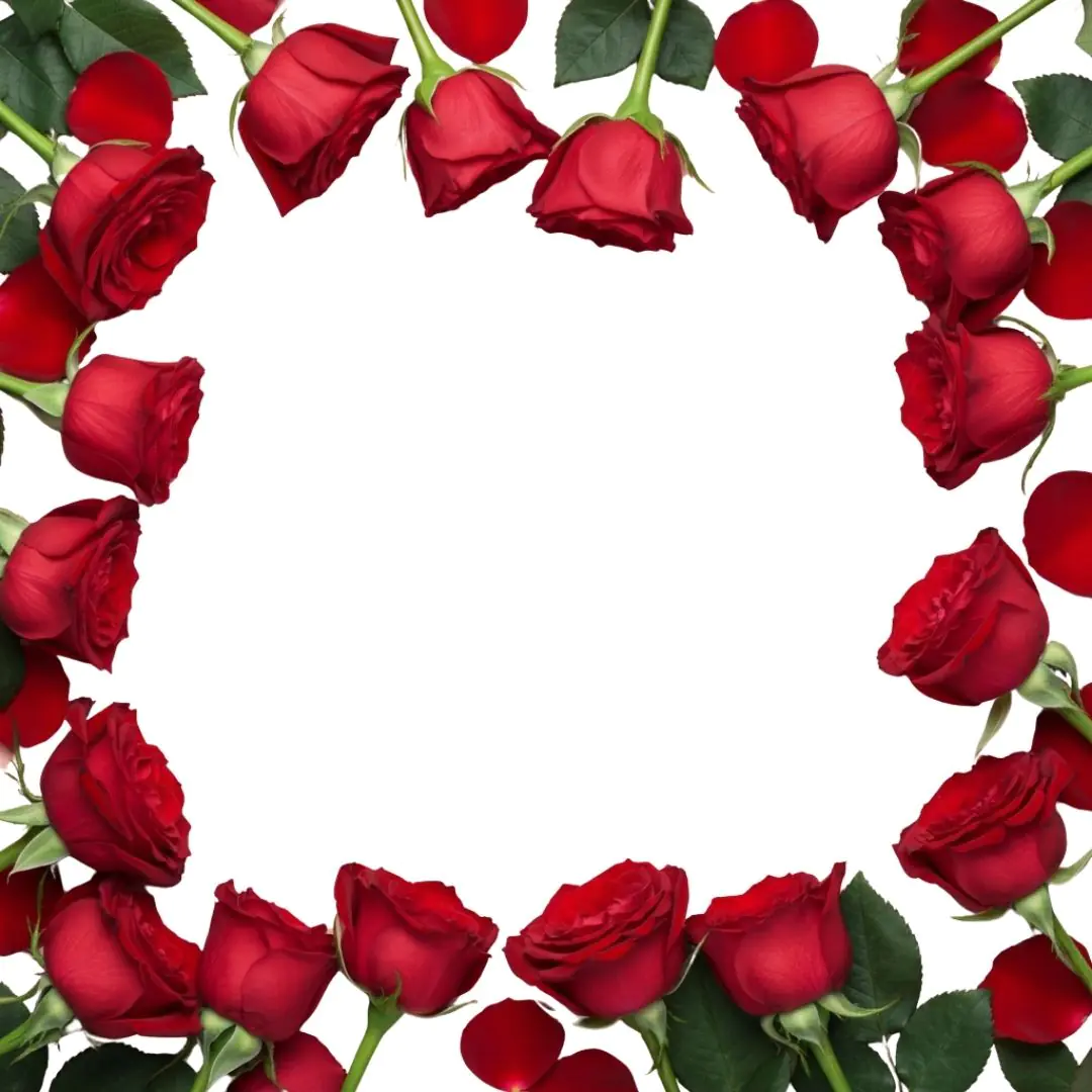 Passionate Red Roses Floral Border Frame PNG