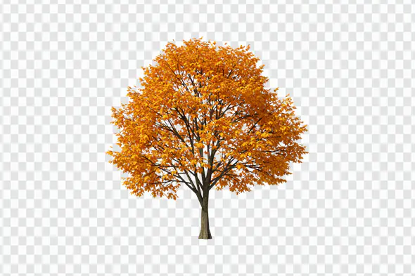 Majestic Autumn Tree with Golden Foliage PNG