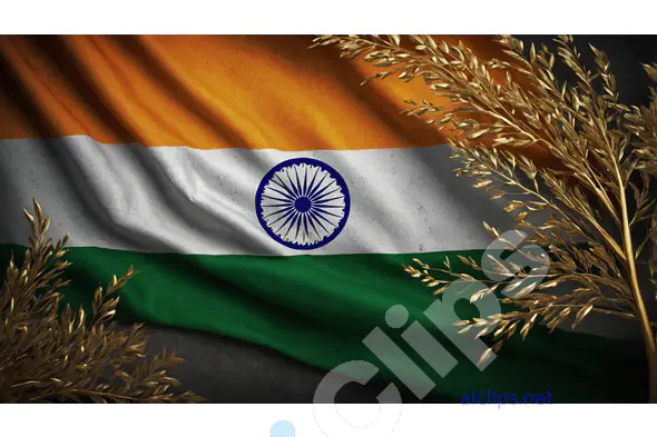 Indian Flag with Golden Wheat