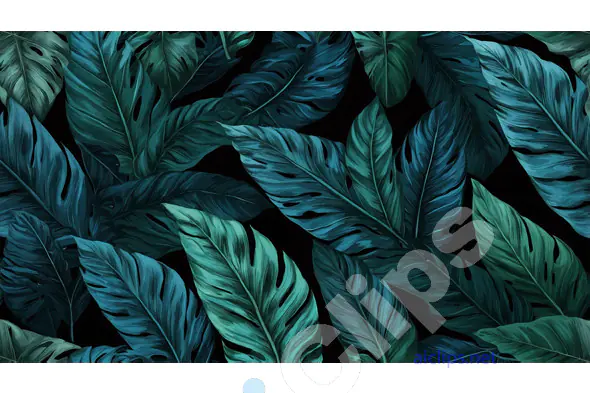 Tropical Monstera Leaf Pattern